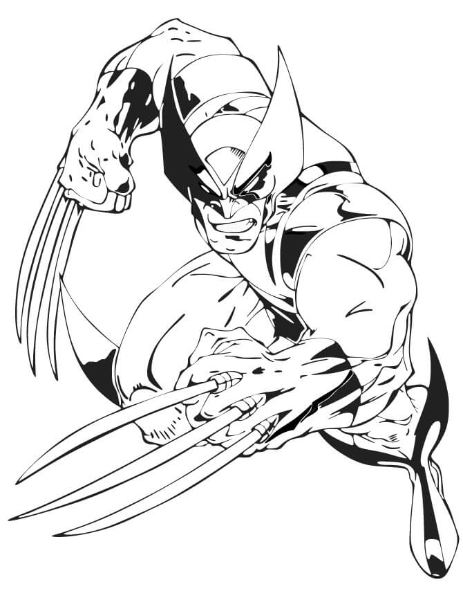 Desenho de Wolverine Herói para Pintar com Tinta Guache