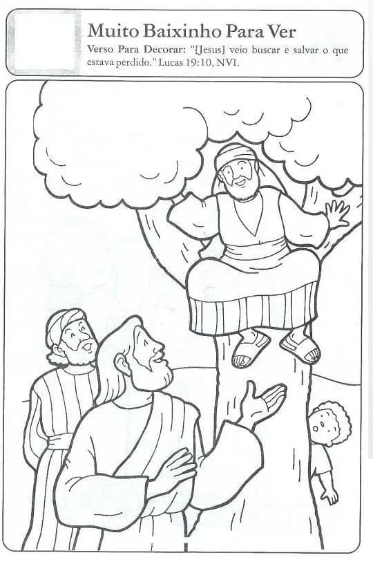 Desenho de Zaqueu Bíblico para Colorir Pdf e Pintar
