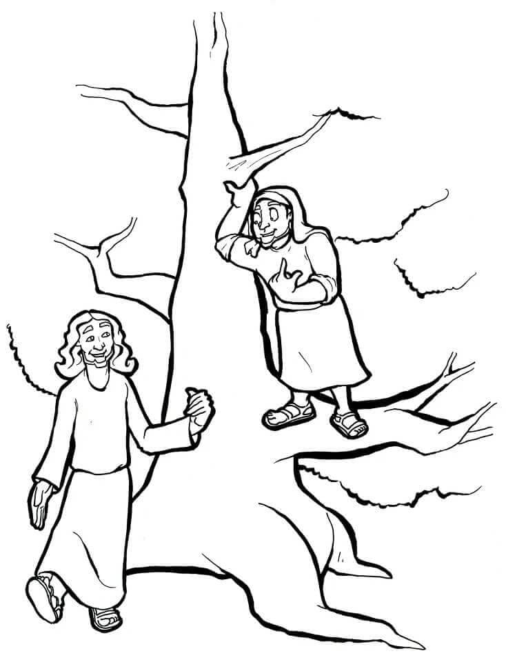 Desenho de Zaqueu e Jesus para Colorir e Baixar Pdf e Pintar