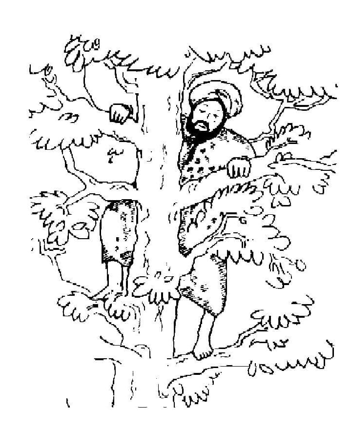 Desenho de Zaqueu Encontrando Jesus para Colorir Download e Pintar