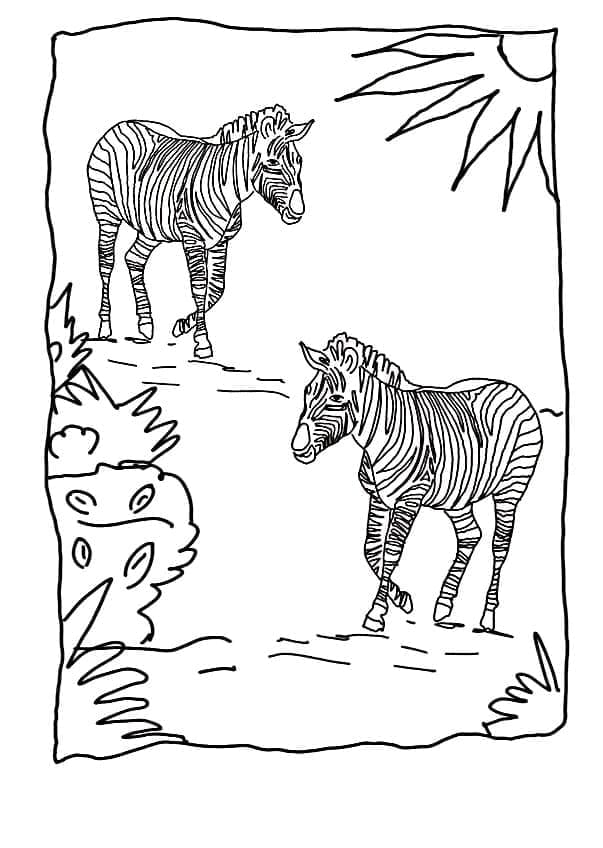 Desenho de Duas Zebras para Colorir e Pintar