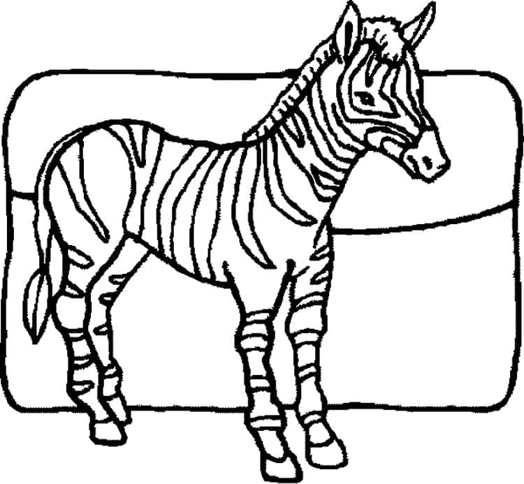 Desenho de Imprimivel Zebra para Colorir e Pintar