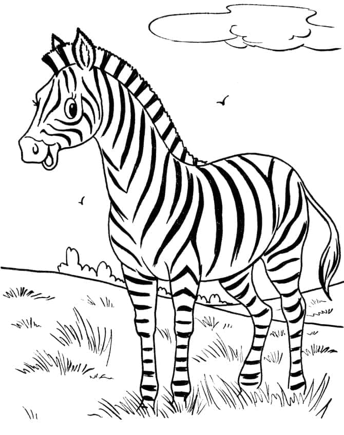 Desenho de Linda Zebra para Colorir e Pintar