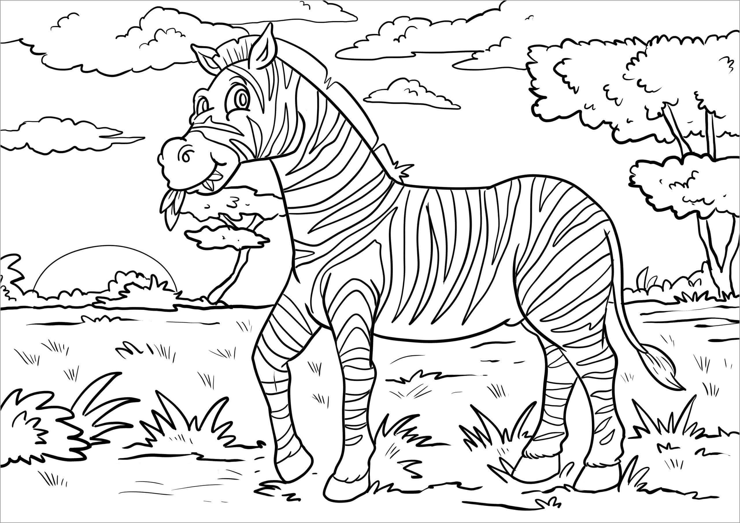 Desenho de Zebra Imprimivel para Colorir e Pintar