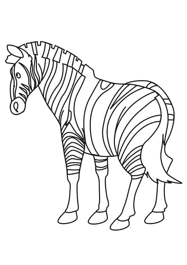 Desenho de Zebra Normal para Colorir e Pintar