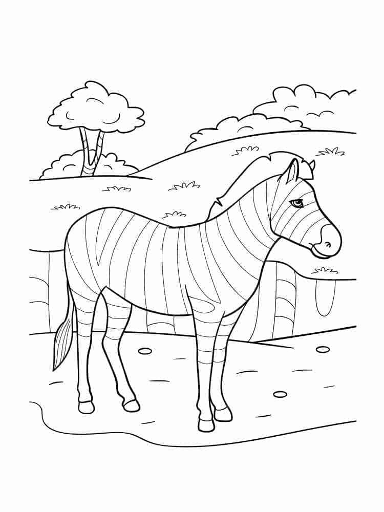 Desenho de Zebra Selvagem para Colorir e Pintar