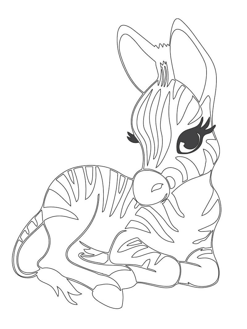 Desenho de Zebra Download para Colorir e Pintar