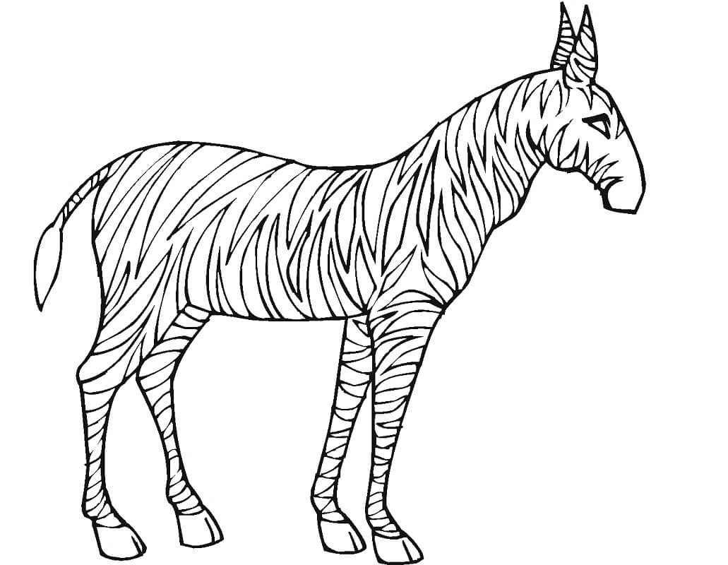 Desenho de Zebra Imprimivel para Imprimir e Colorir e Pintar