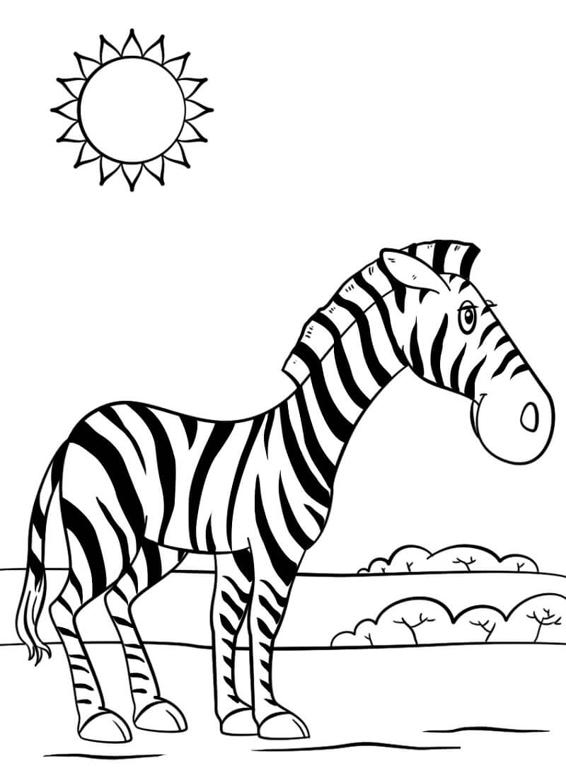 Desenho de Zebra Pdf para Colorir e Pintar