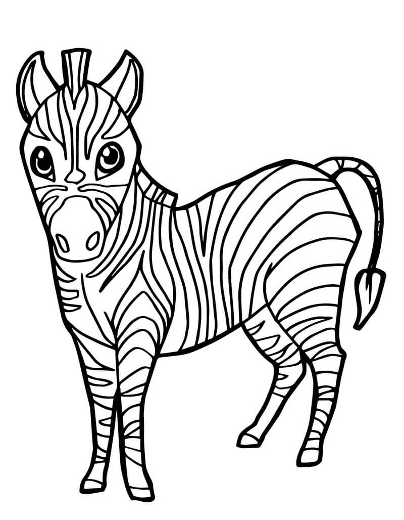 Desenho de Zebra Pdf para Imprimir e Colorir e Pintar