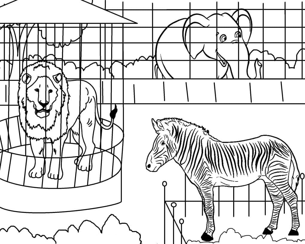 Desenho de Zoológico para Colorir com Tinta Guache Pdf e Pintar
