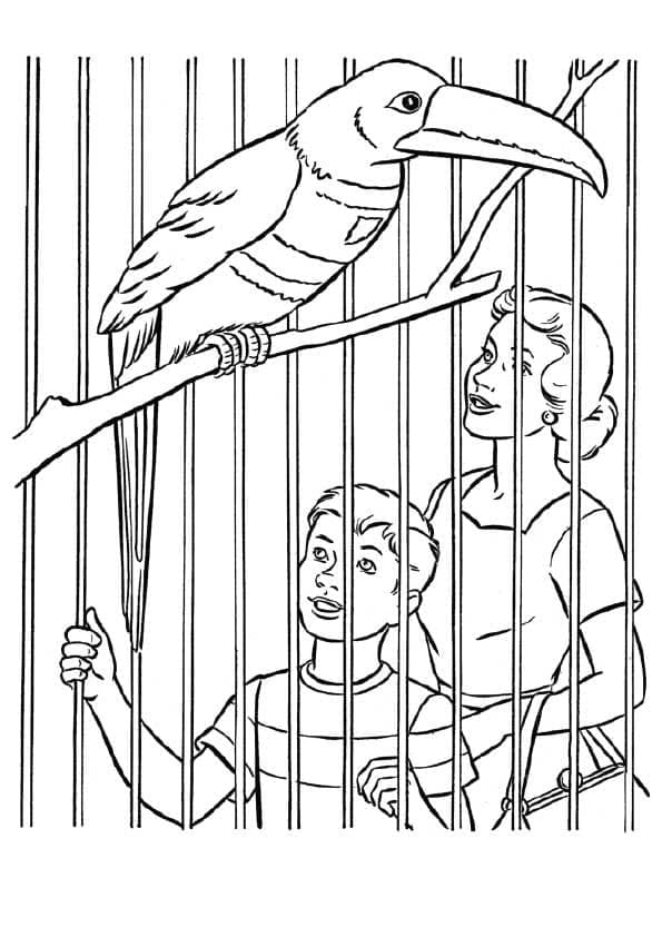 Desenho de Zoológico para Colorir em Casa e Pintar