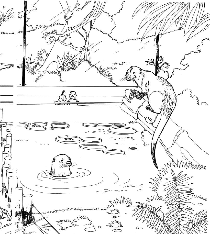 Desenho de Zoológico para Colorir Pdf e Pintar